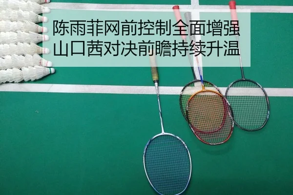 陈雨菲网前控制全面增强 山口茜对决前瞻持续升温 - kaiyun